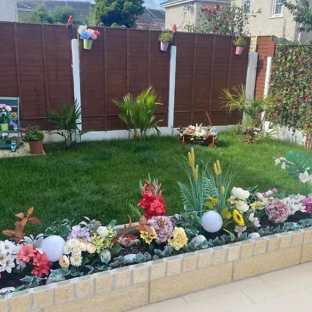 Lodge Apartment アパート